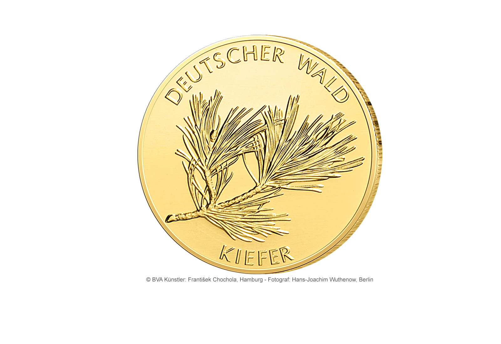 20 Euro 2013 Goldmünze Deutschland Kiefer Prägestätte unserer Wahl
