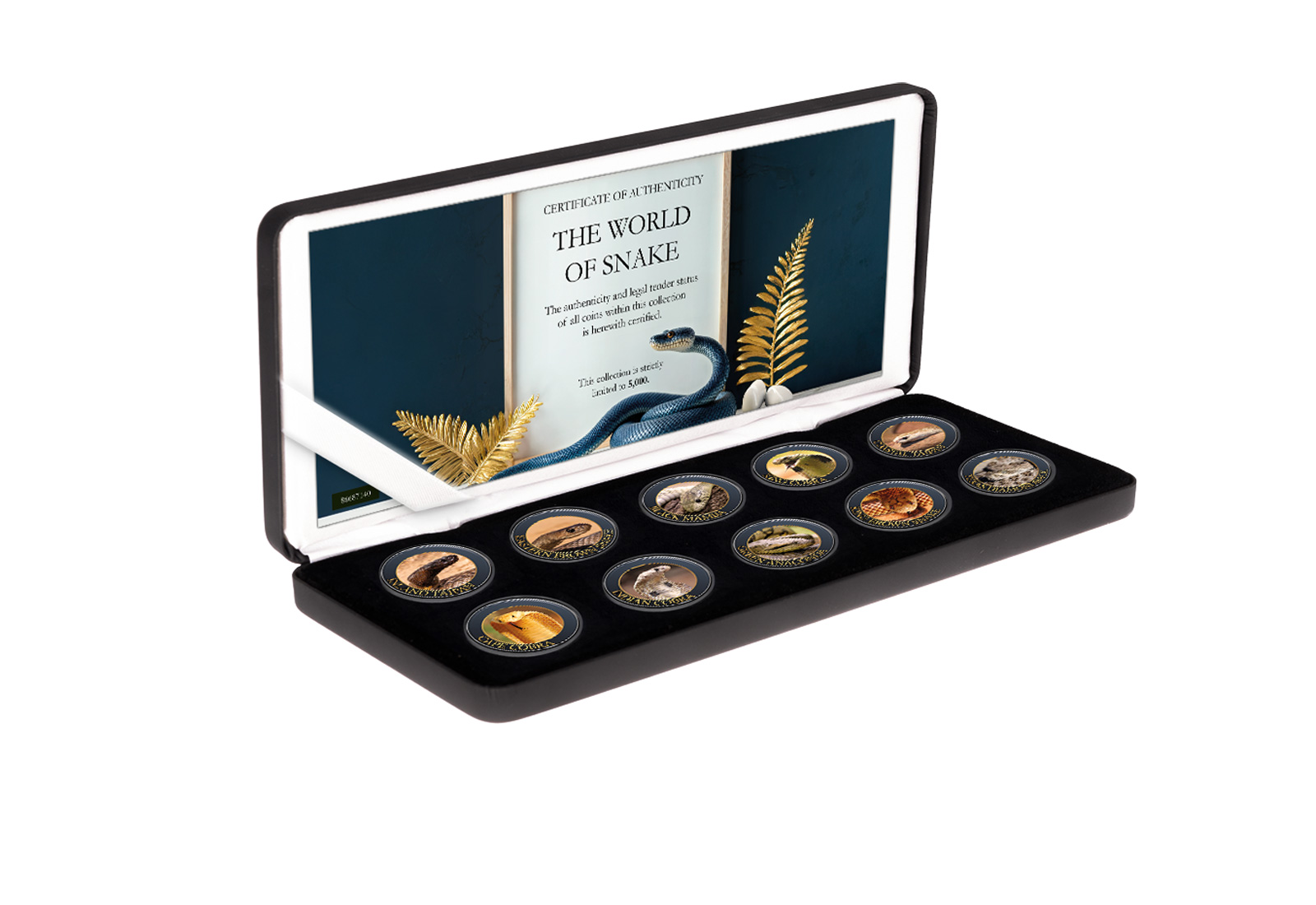 10er Kollektion Die Welt der Schlangen mit Farbappl. im Etui inkl. Zertifikat