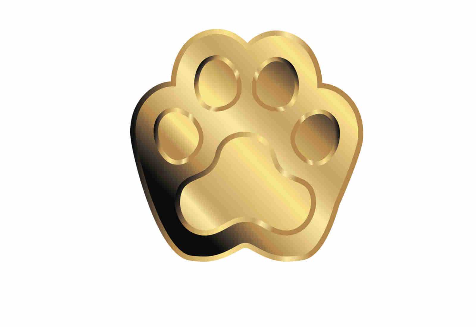 Coincard Katze mit Goldmünze