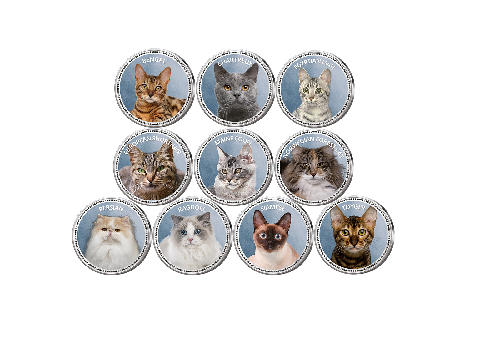 Die beliebtesten Katzen 10er Kollektion mit Farbmotiv im Etui inkl. Zertifikat