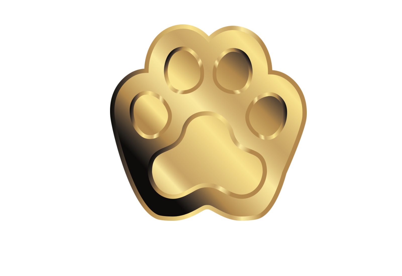 Coincard Katze mit Goldmünze