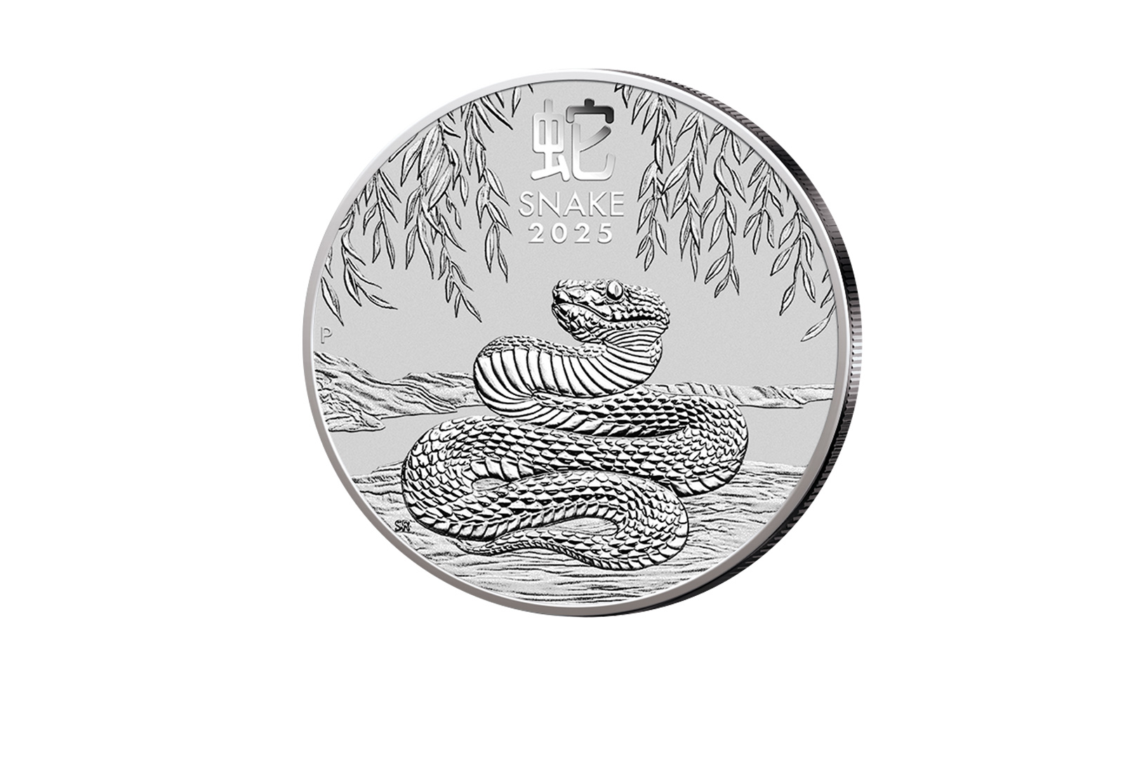 Lunar Serie 1 oz Silber 2025 Australien Jahr der Schlange st