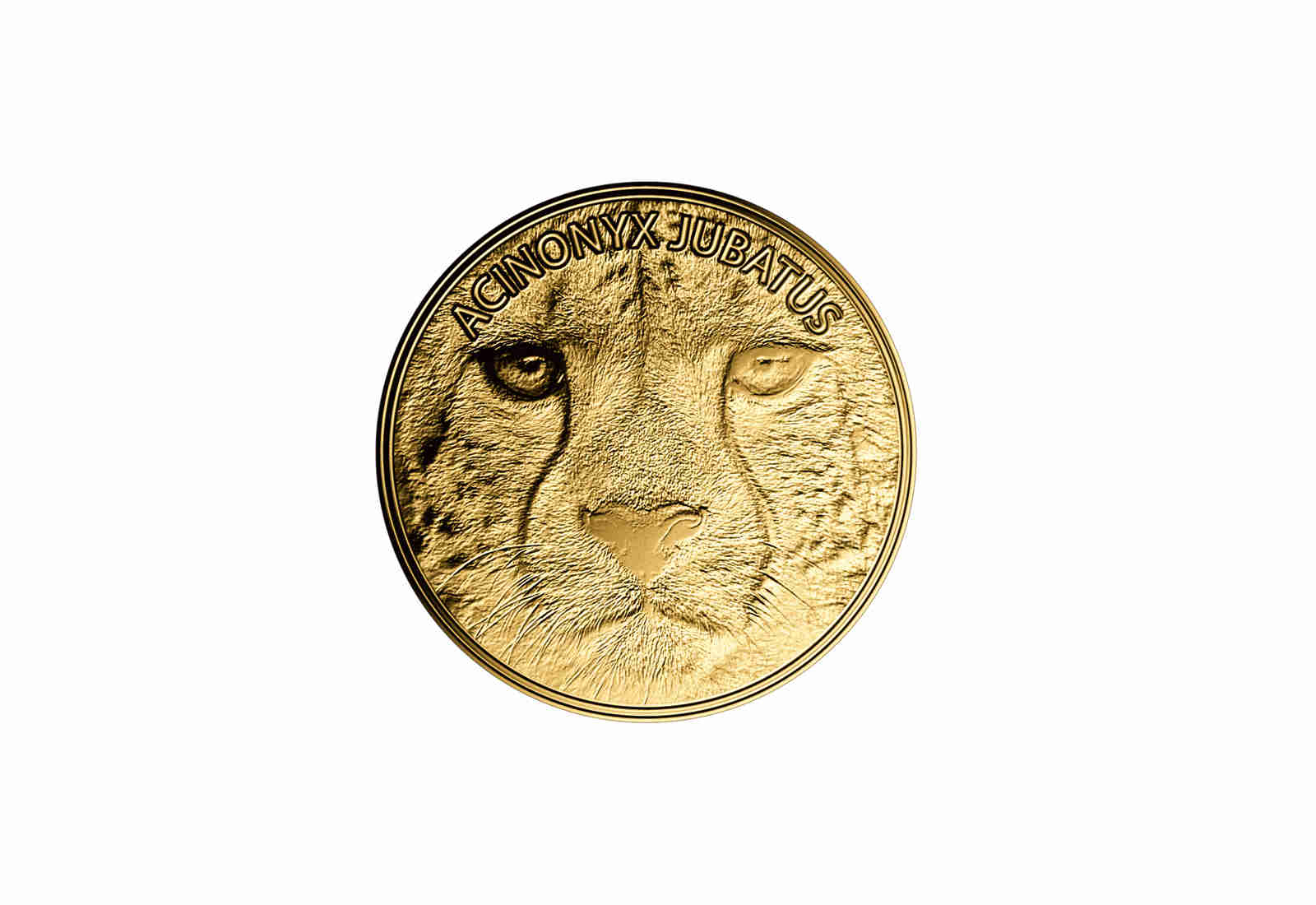 Goldmünze Motiv Gepard 999/1000 Gold Geschenk