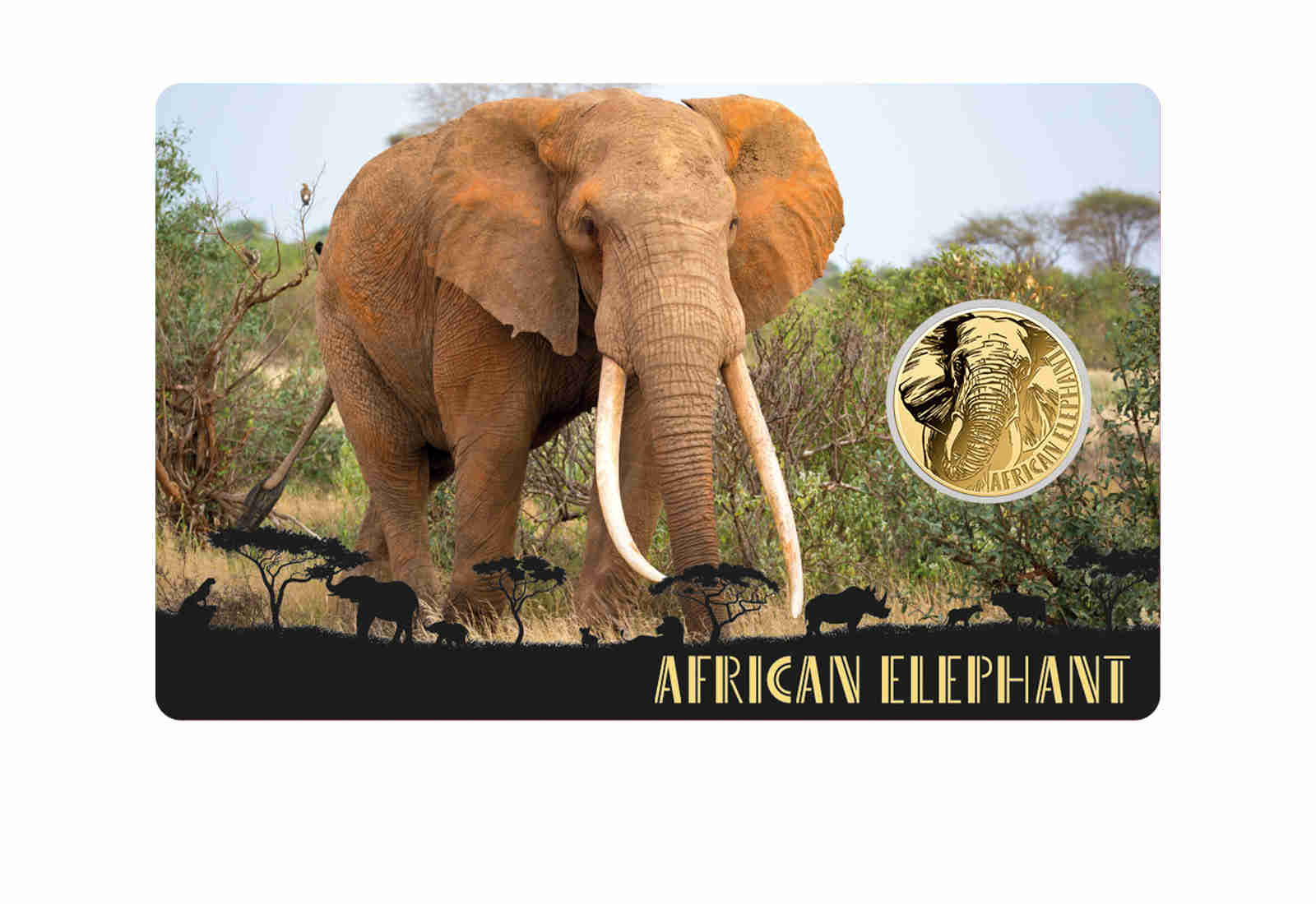 Goldcard Motiv African Elephant mit 999/1000 Goldausgabe
