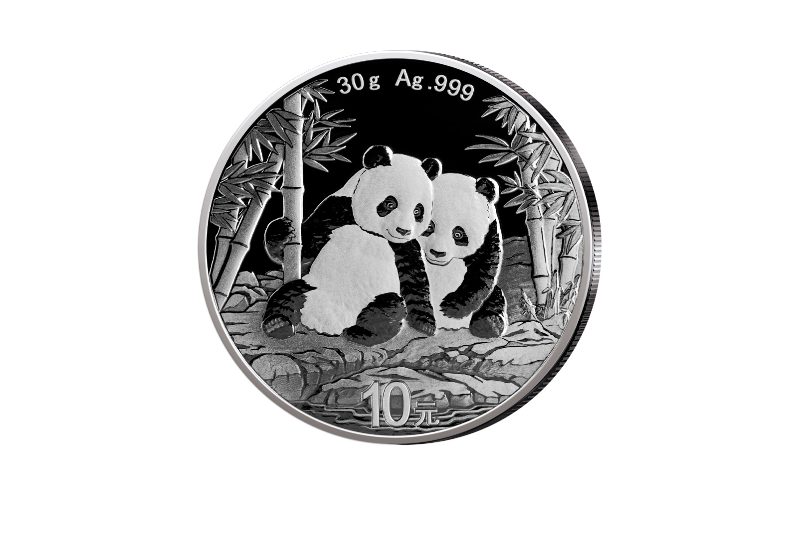 Panda 30 Gramm Silber 2026 China