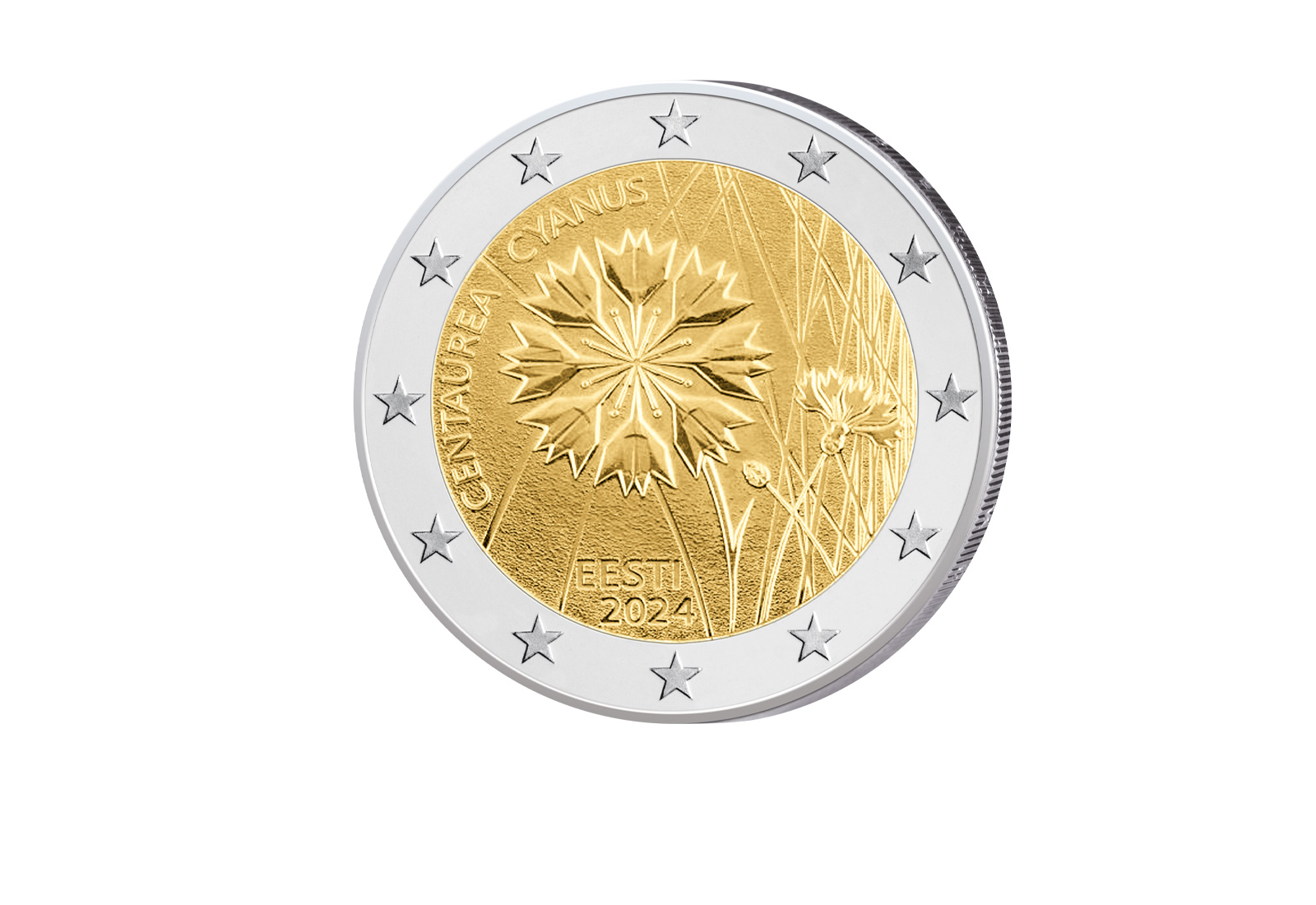 2 Euro 2024 Estland Nationalblume Kornblume bfr.
