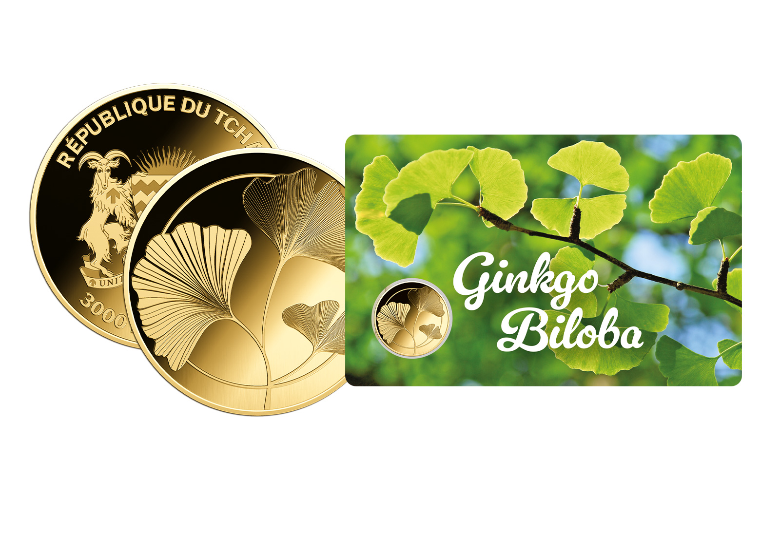 Goldmünze Motiv "Ginkgo Biloba" Coincard 999/1000 Gold Geschenk