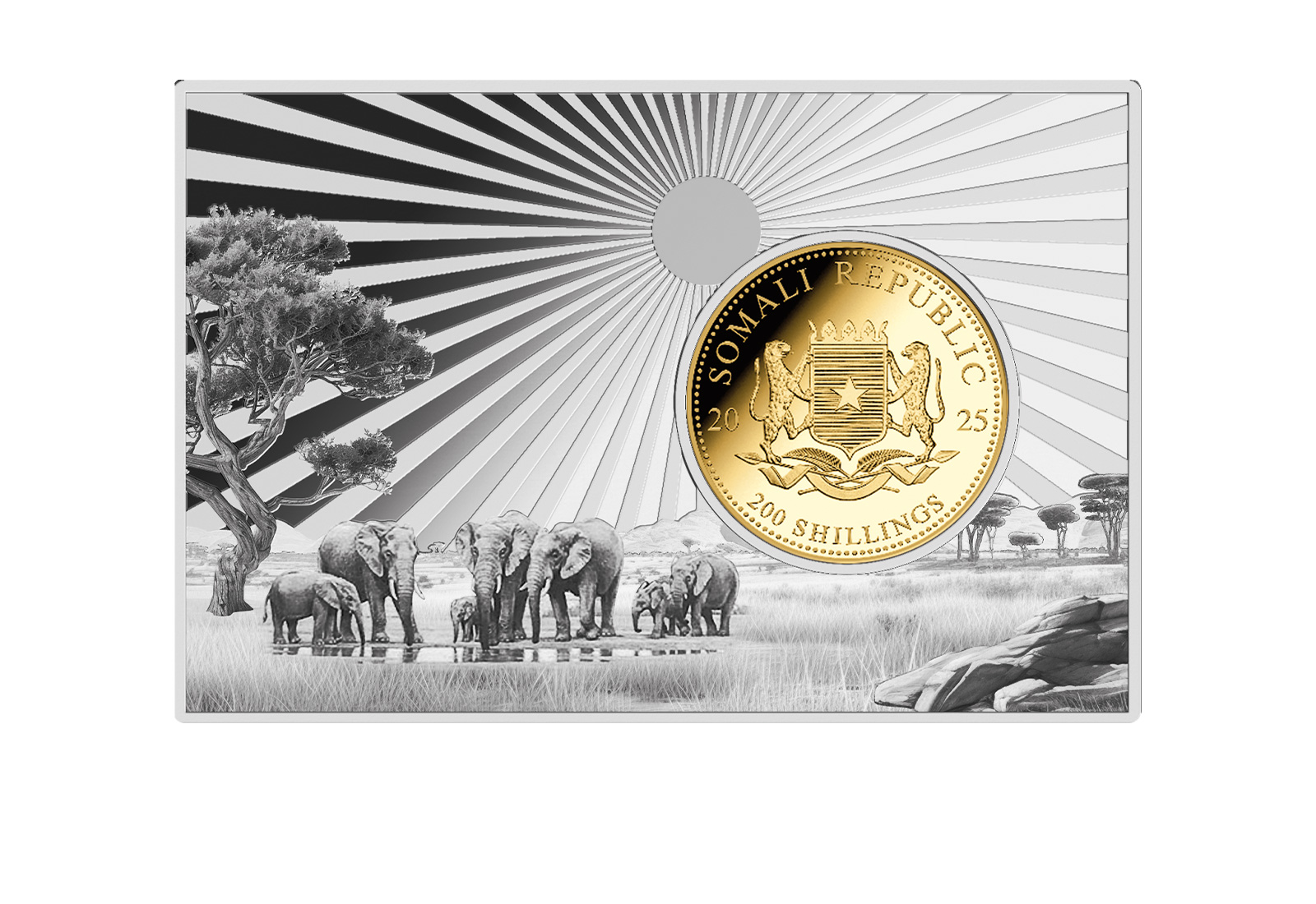 African Wildlife 2025 Elefant 1/4 oz Gold eingefasst in 2 oz Silber Münzbarren