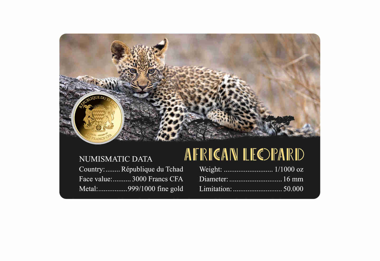 Goldmünze Motiv African Leopard Coincard Feinheit 999/1000 Gold Geschenk