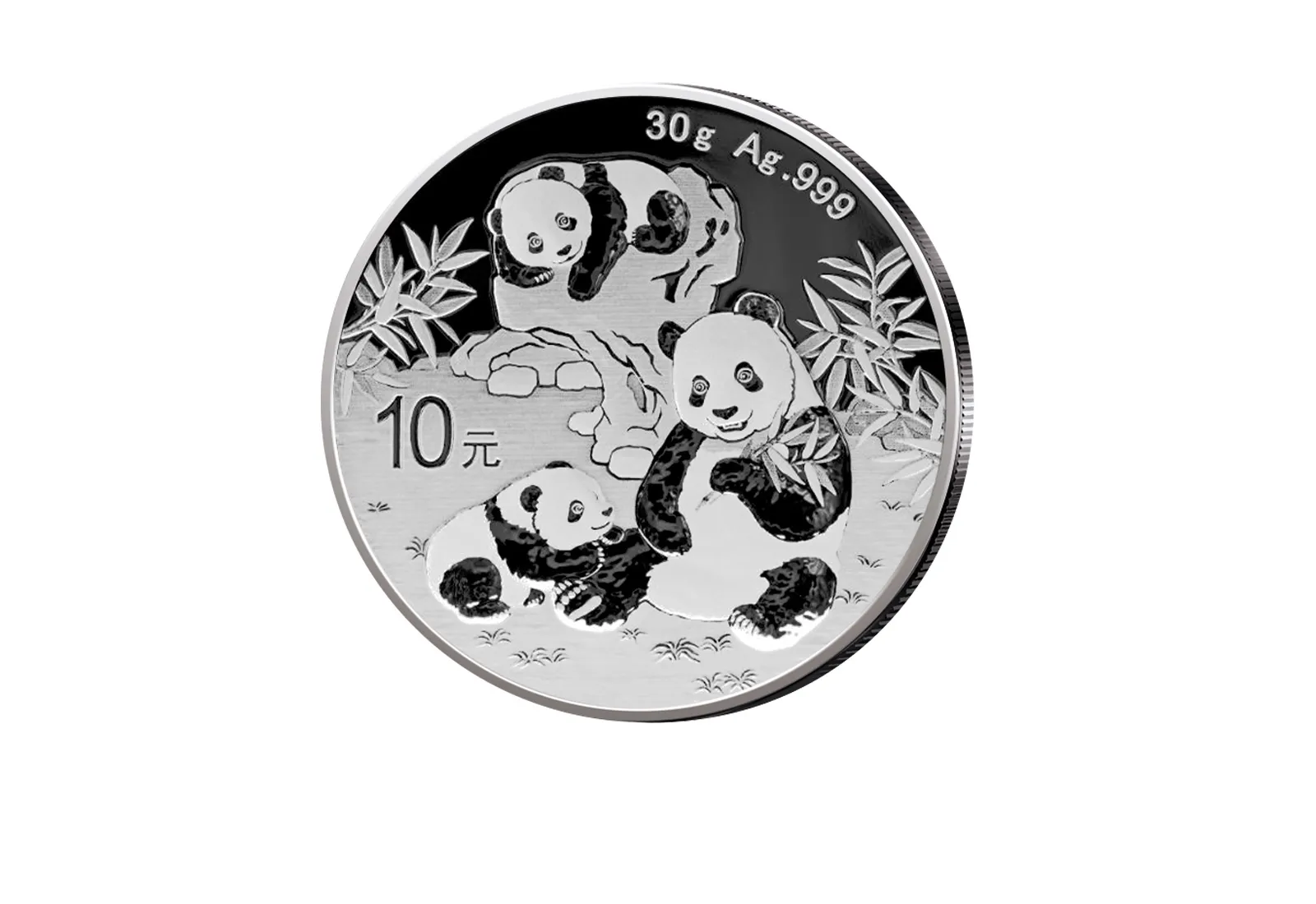 Panda 30 Gramm Silber 2025 China