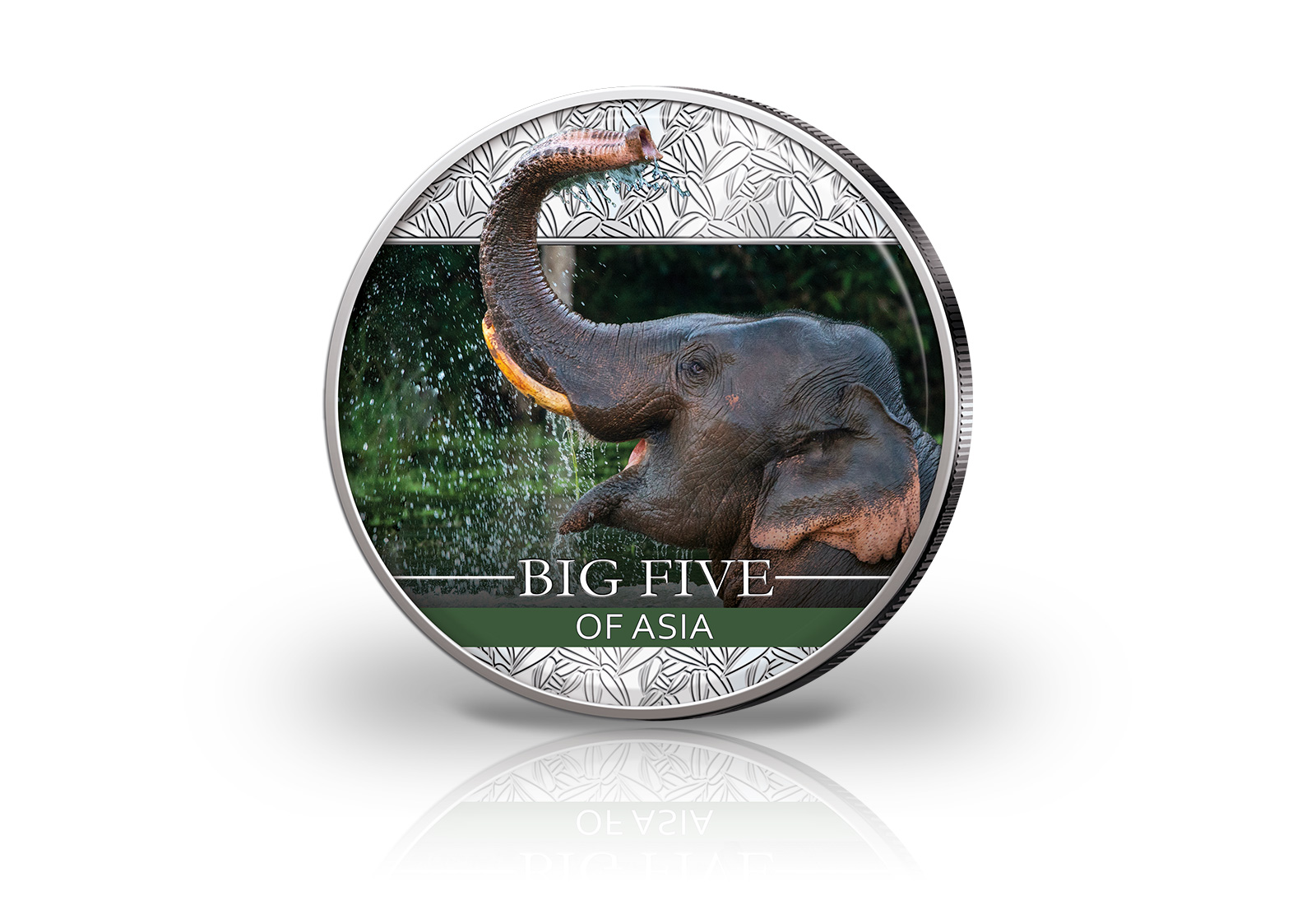 Big Five Asien Panda 30 g Silber Jahrgang u. Wahl mit Farbm. Asiatische Elefant