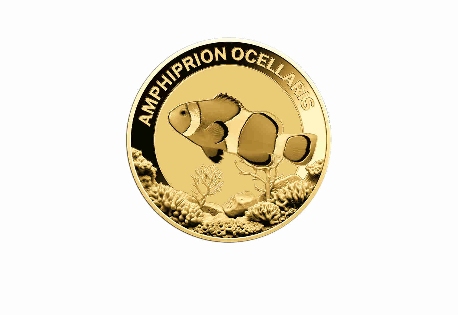 Goldmünze Motiv Clownfisch Coincard 999/1000 Gold Geschenk