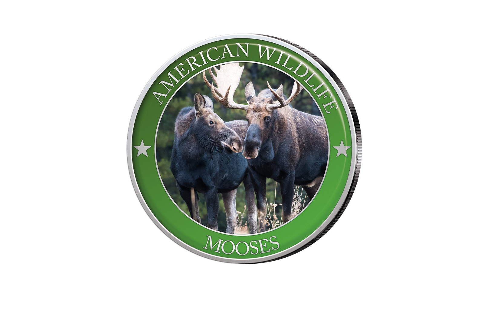 1/2 Dollar USA Moose Serie American Wildlife mit Farbapplikation