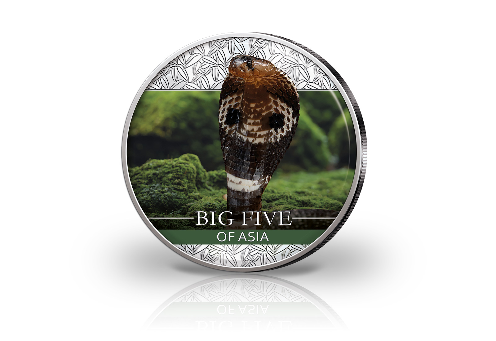 Big Five Asien Panda 30 g Silber Jahrgang u. Wahl mit Farbmotiv Indische Kobra