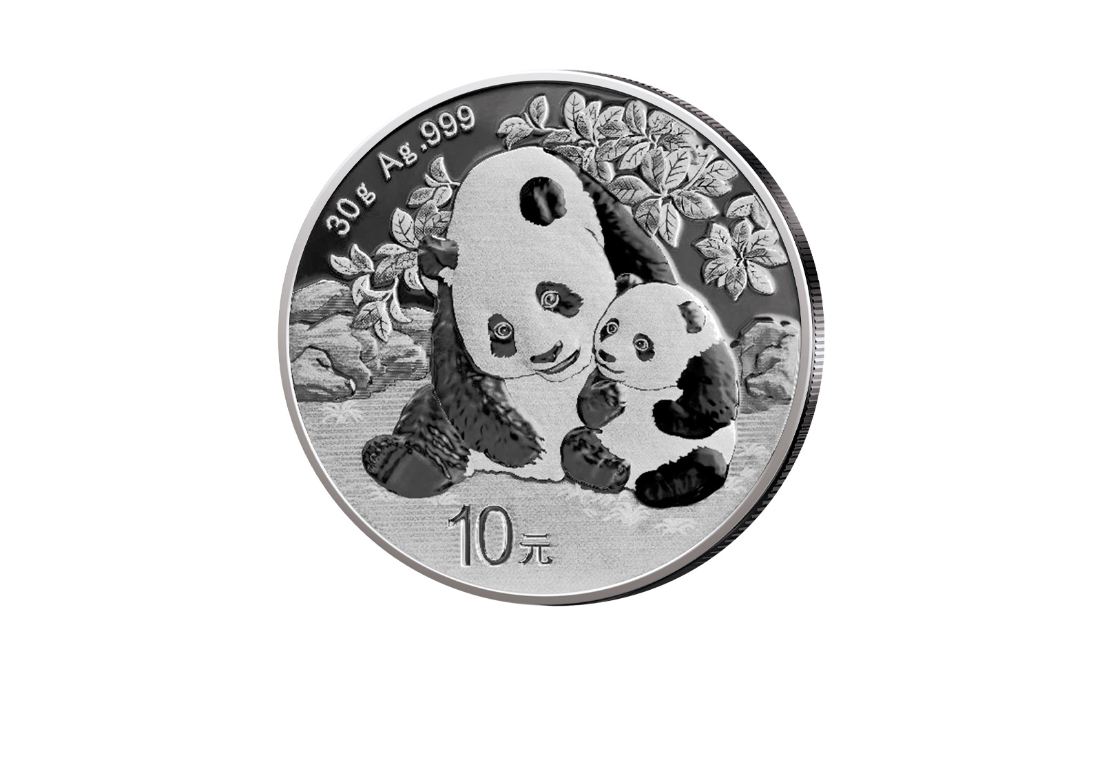 Panda 30 Gramm Silber 2024 China st