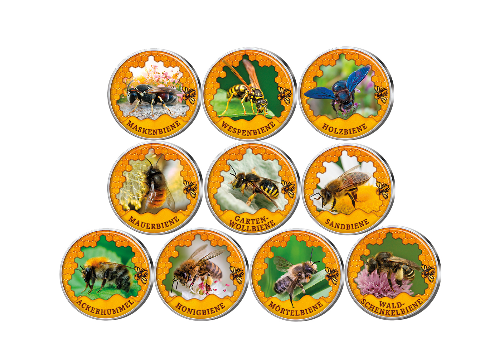 Die bekanntesten Bienenarten 10er Kollektion mit Farbm. im Etui inkl. Zertifikat