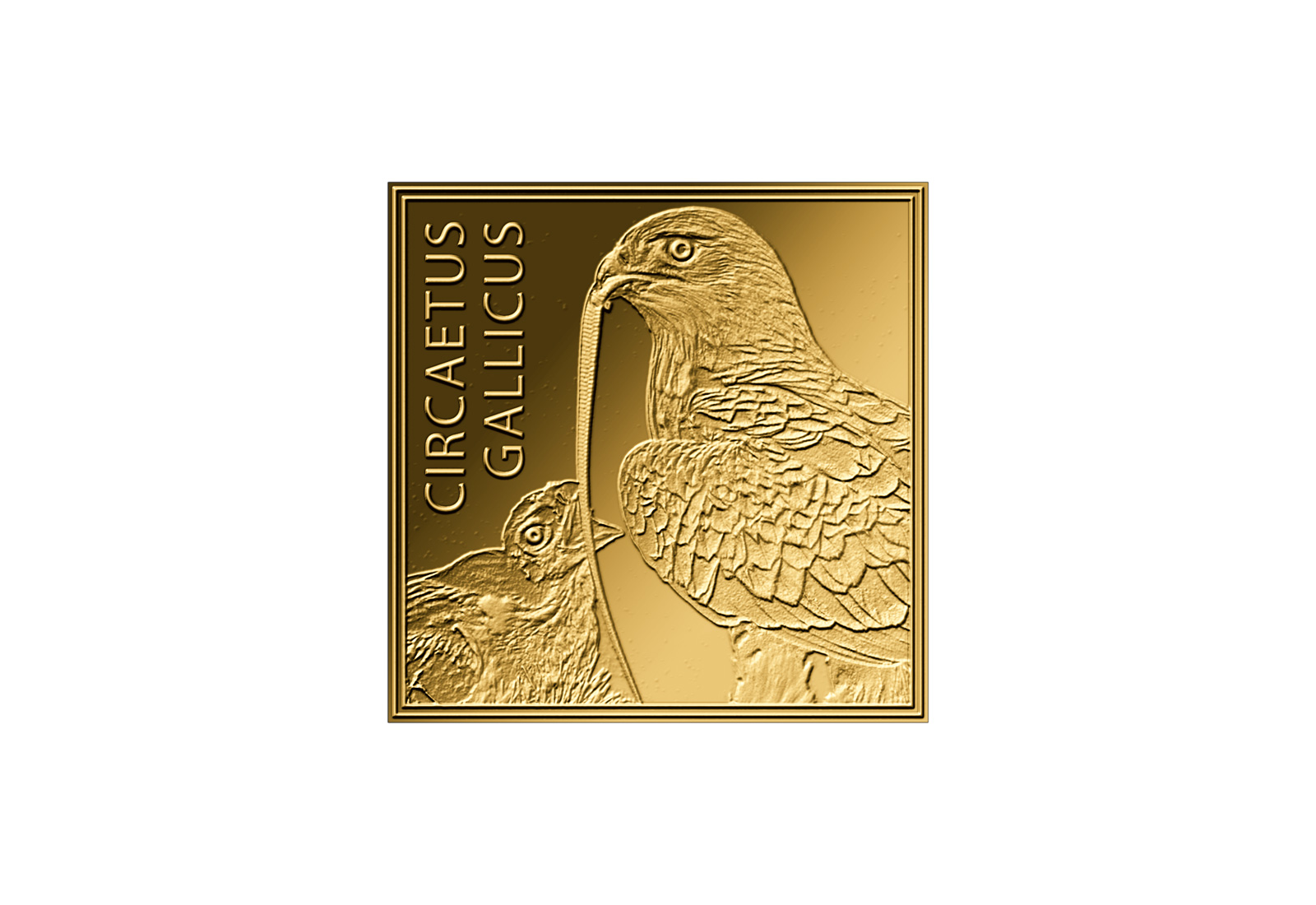 Goldmünze Motiv Schlangenadler 999/1000 Gold Geschenk