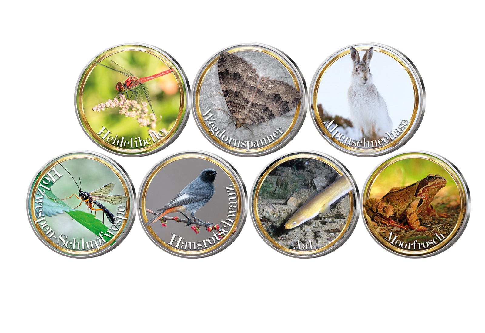 7er Münzen Kollektion Tiere des Jahres 2025 mit Etui und Zertifikat