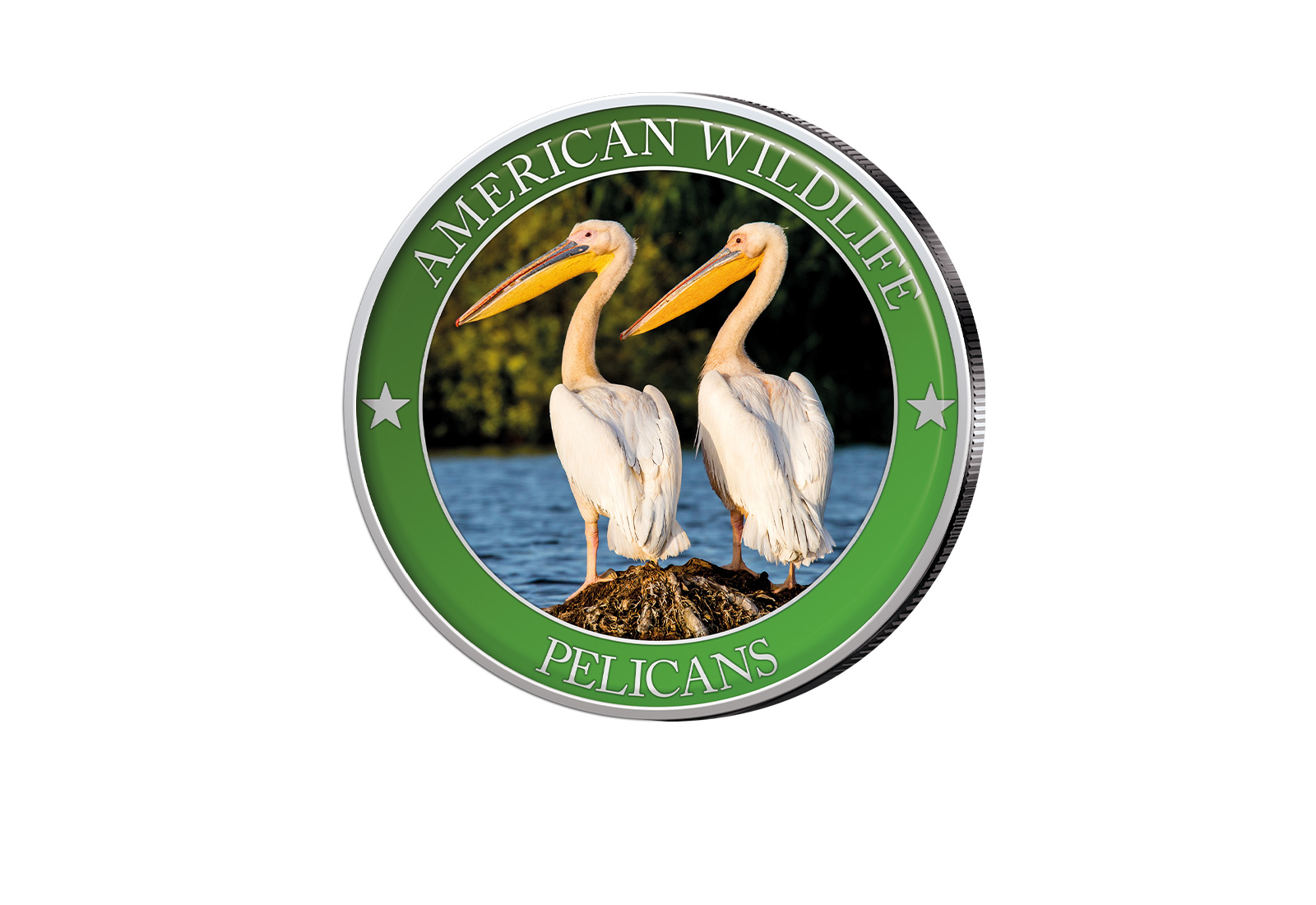 1/2 Dollar USA Pelican Serie American Wildlife mit Farbapplikation