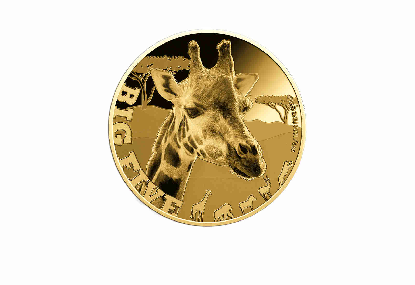 Goldmünzen-Kollektion "Big Five of Africa" im Sammler-Service