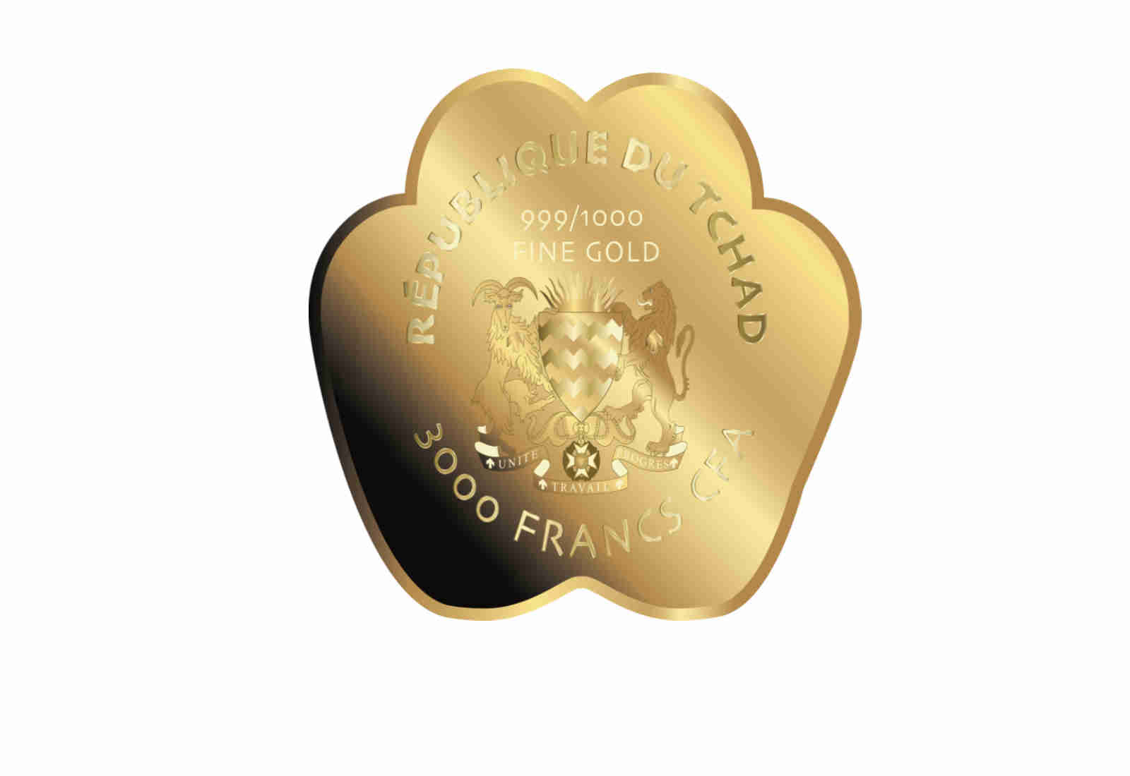 Coincard Katze mit Goldmünze
