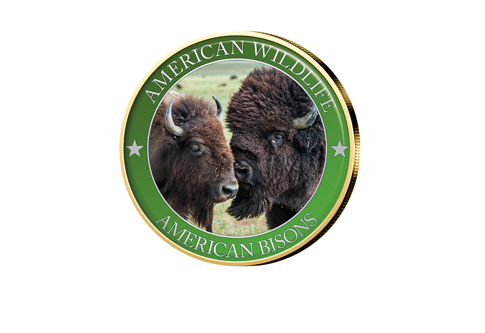 1/2 Dollar USA American Bison Serie American Wildlife mit Farbapplikation