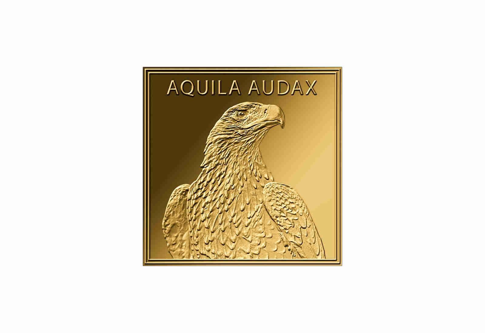 Goldmünze Motiv Keilschwanzadler 999/1000 Gold Geschenk