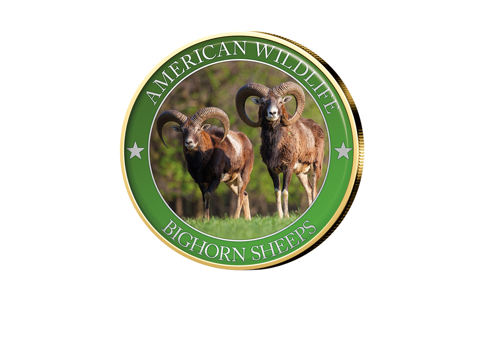 1/2 Dollar USA Bighorn Sheep Serie American Wildlife mit Farbapplikation