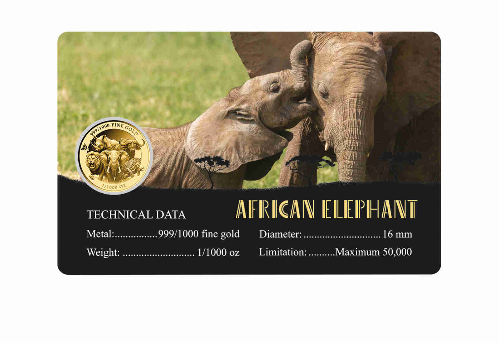 Goldcard Motiv African Elephant mit 999/1000 Goldausgabe