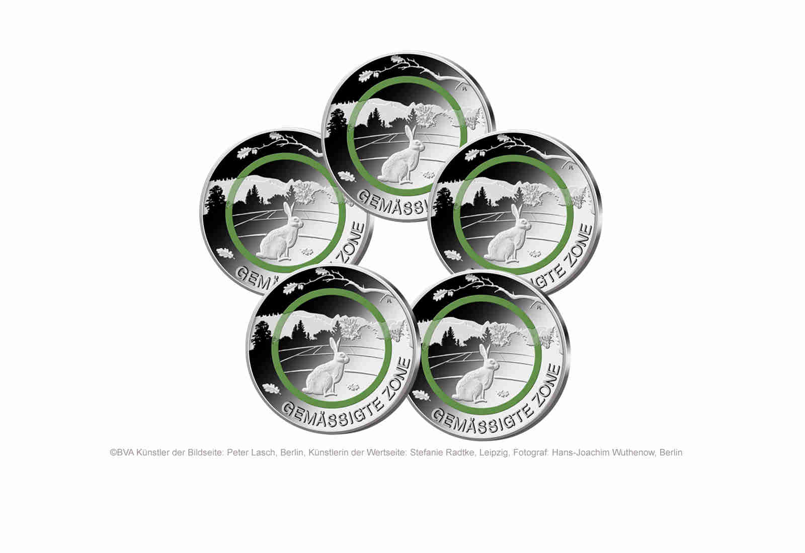 5 Euro 2019 Deutschland Gemässigte Zone mit Polymerring PP Prägestätte A-J