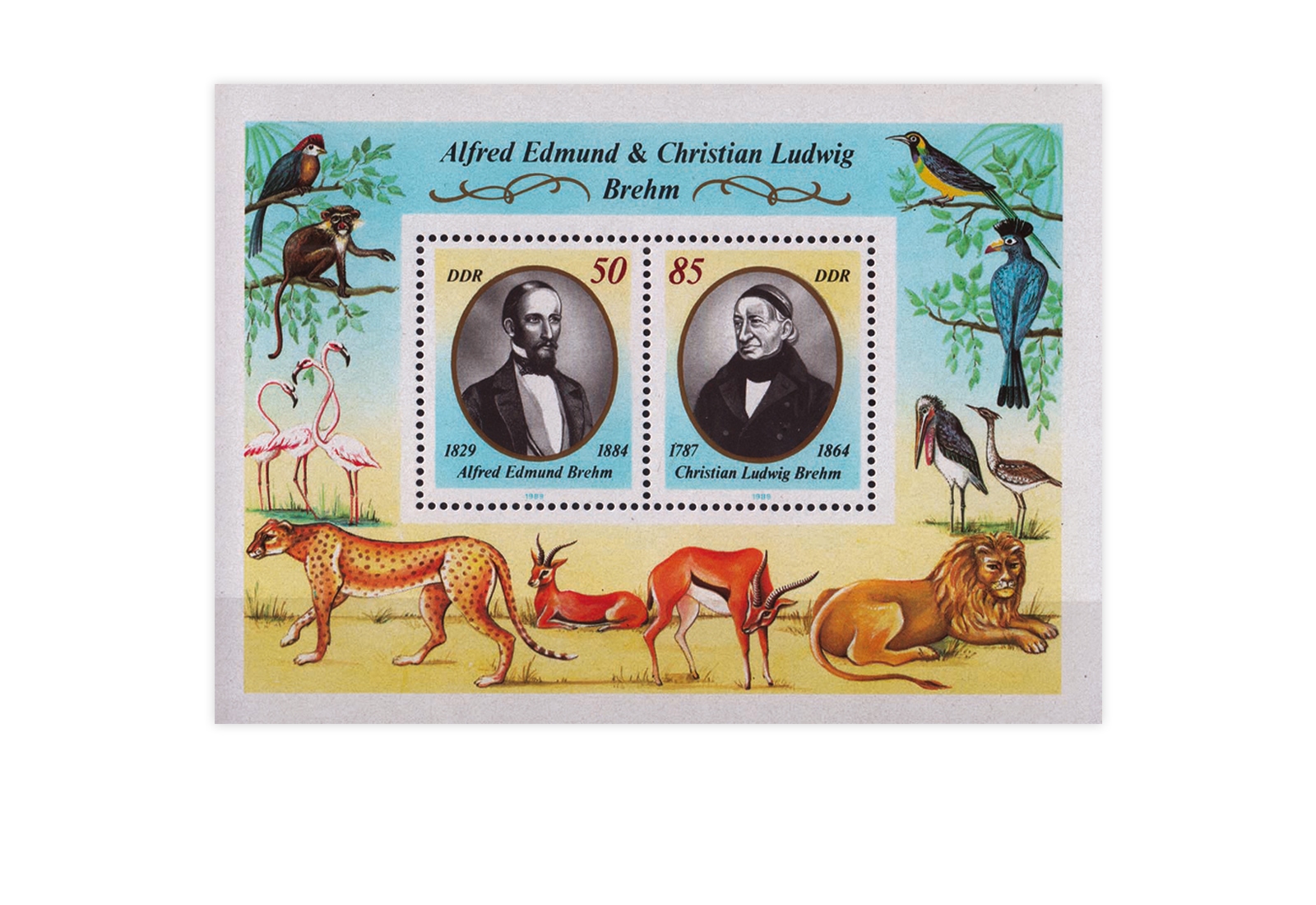 DDR Block 98 Brehms Tierwelt 1989 **