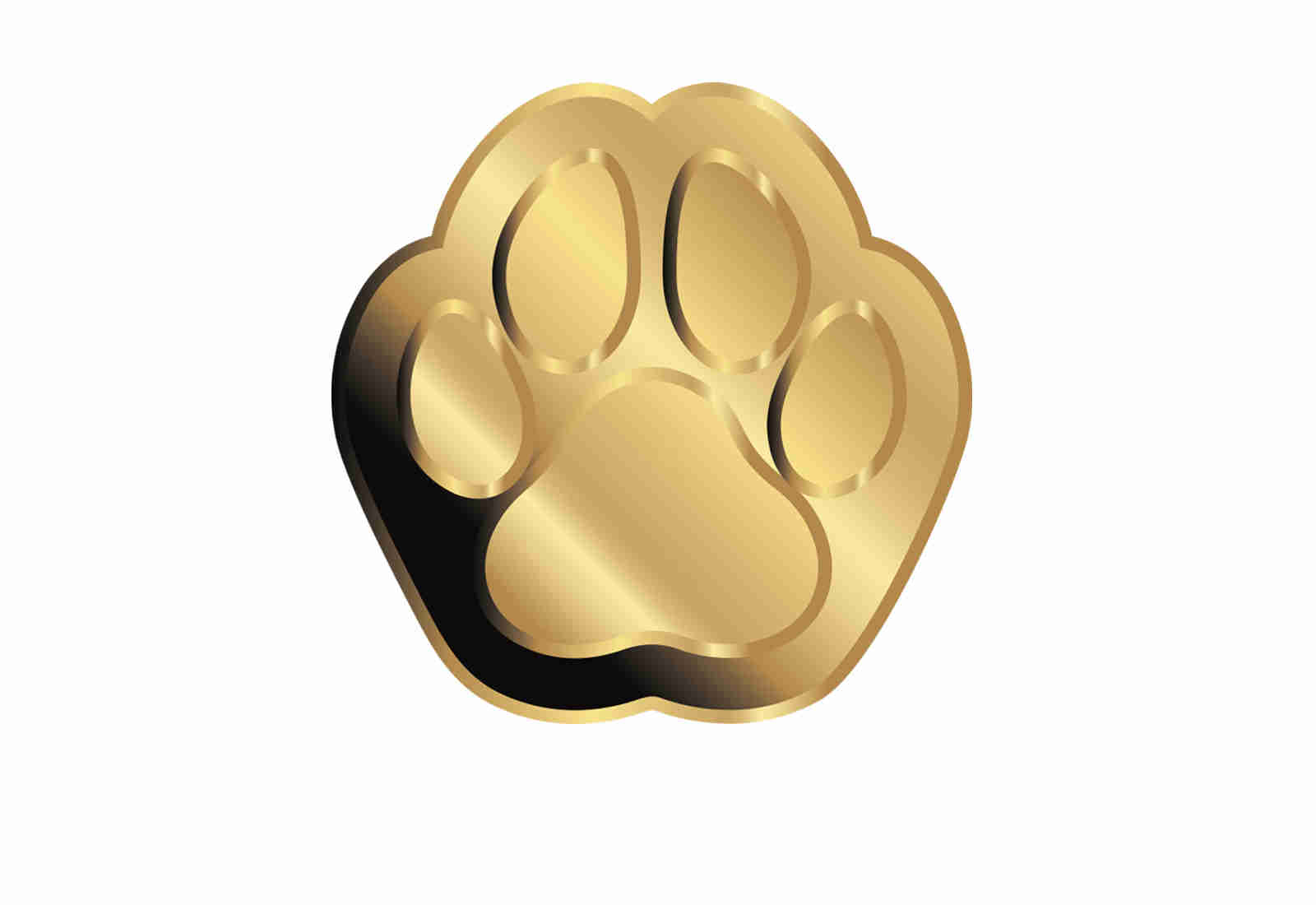 Goldmünze Motiv "Hund mit Weihnachtsmütze" Coincard 999/1000 Gold Geschenk
