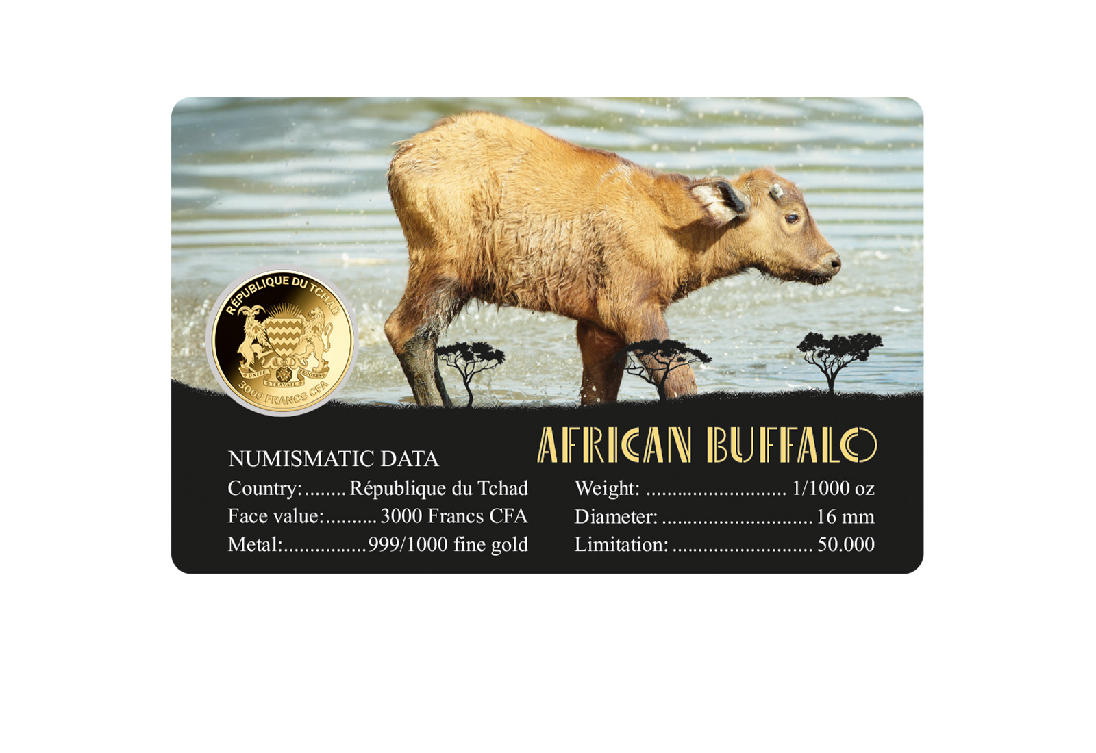 Goldmünze Motiv African Buffalo Coincard Feinheit 999/1000 Gold Geschenk