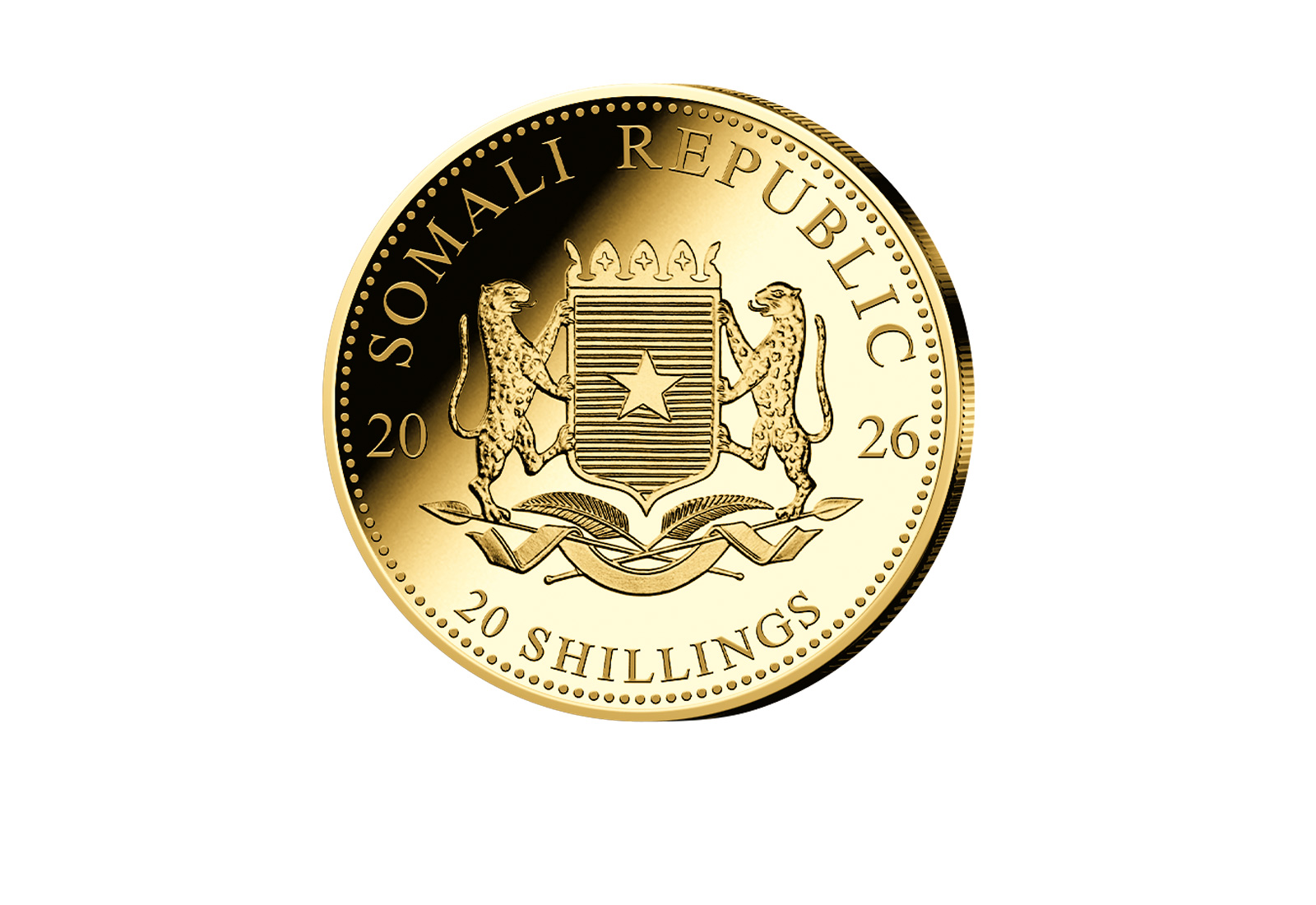 African Wildlife Serie 0,5 Gramm Gold 2026 Somalia Elefant