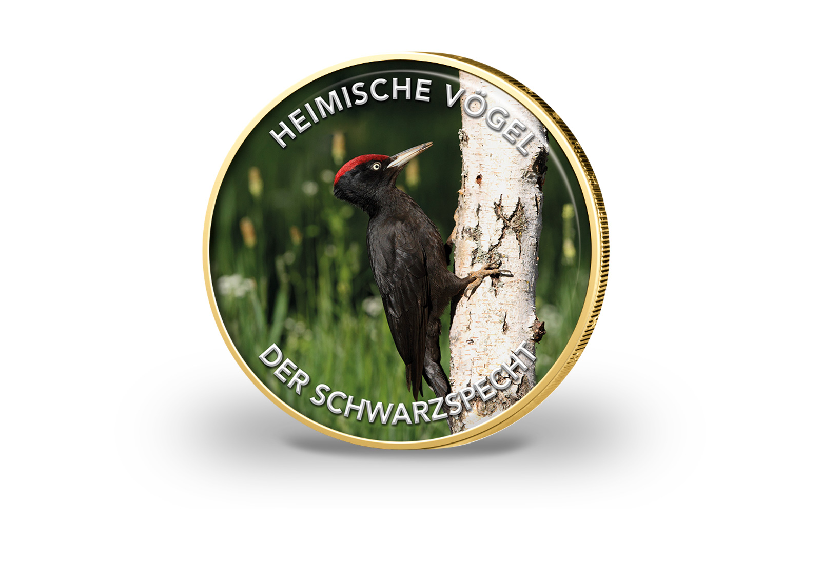 2 Euro vergoldet Schwarzspecht mit Farbmotiv