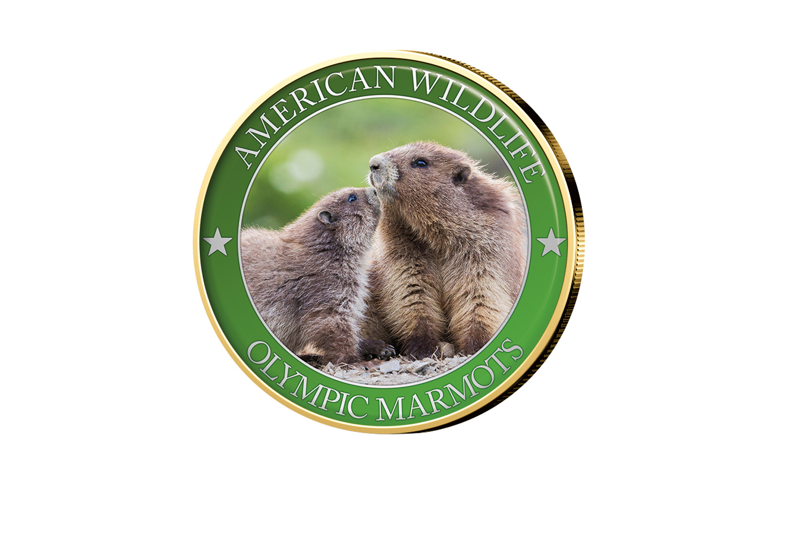 1/2 Dollar USA Olympic Marmot Serie American Wildlife mit Farbapplikation