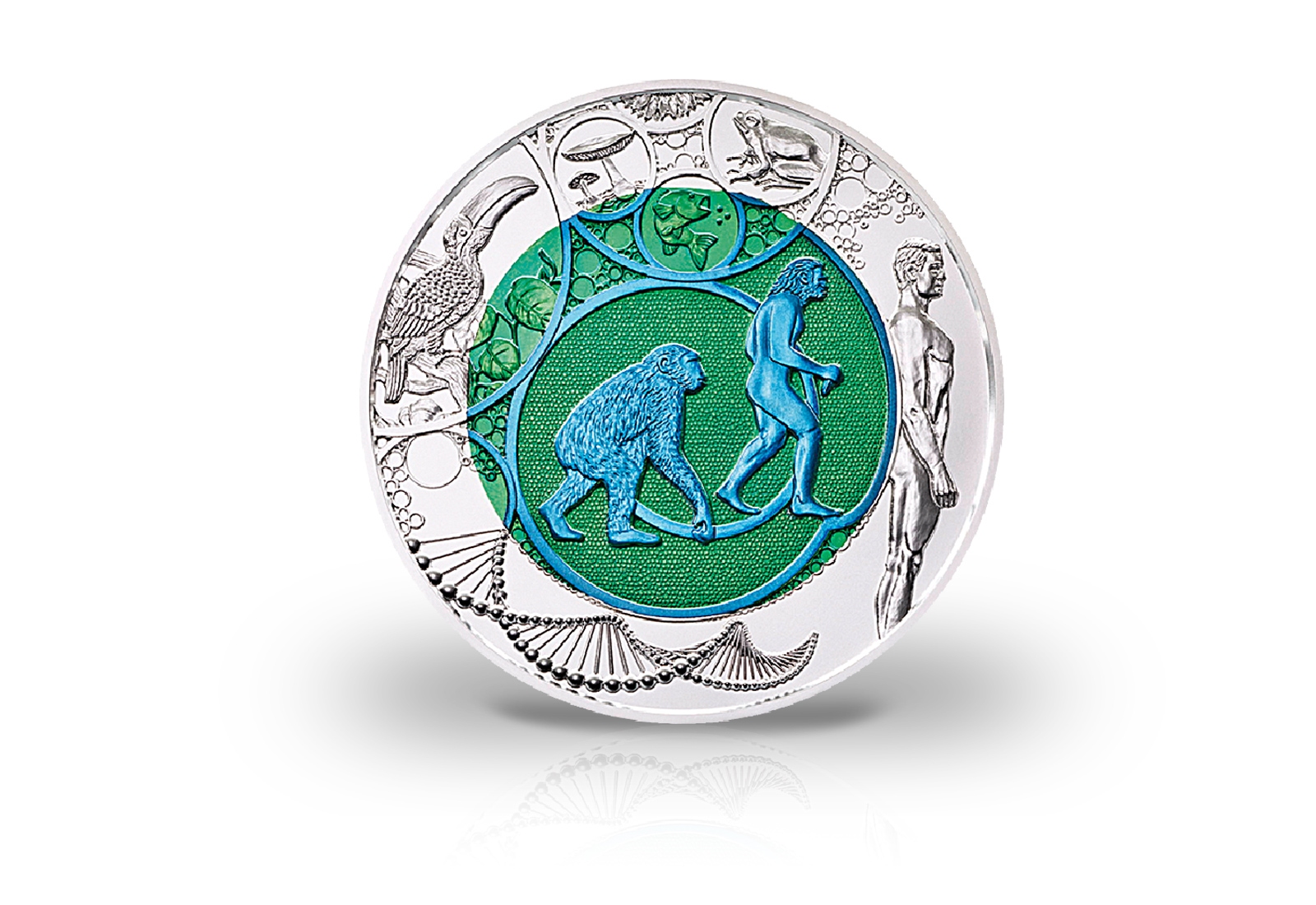 25 Euro 2014 Österreich Evolution hgh