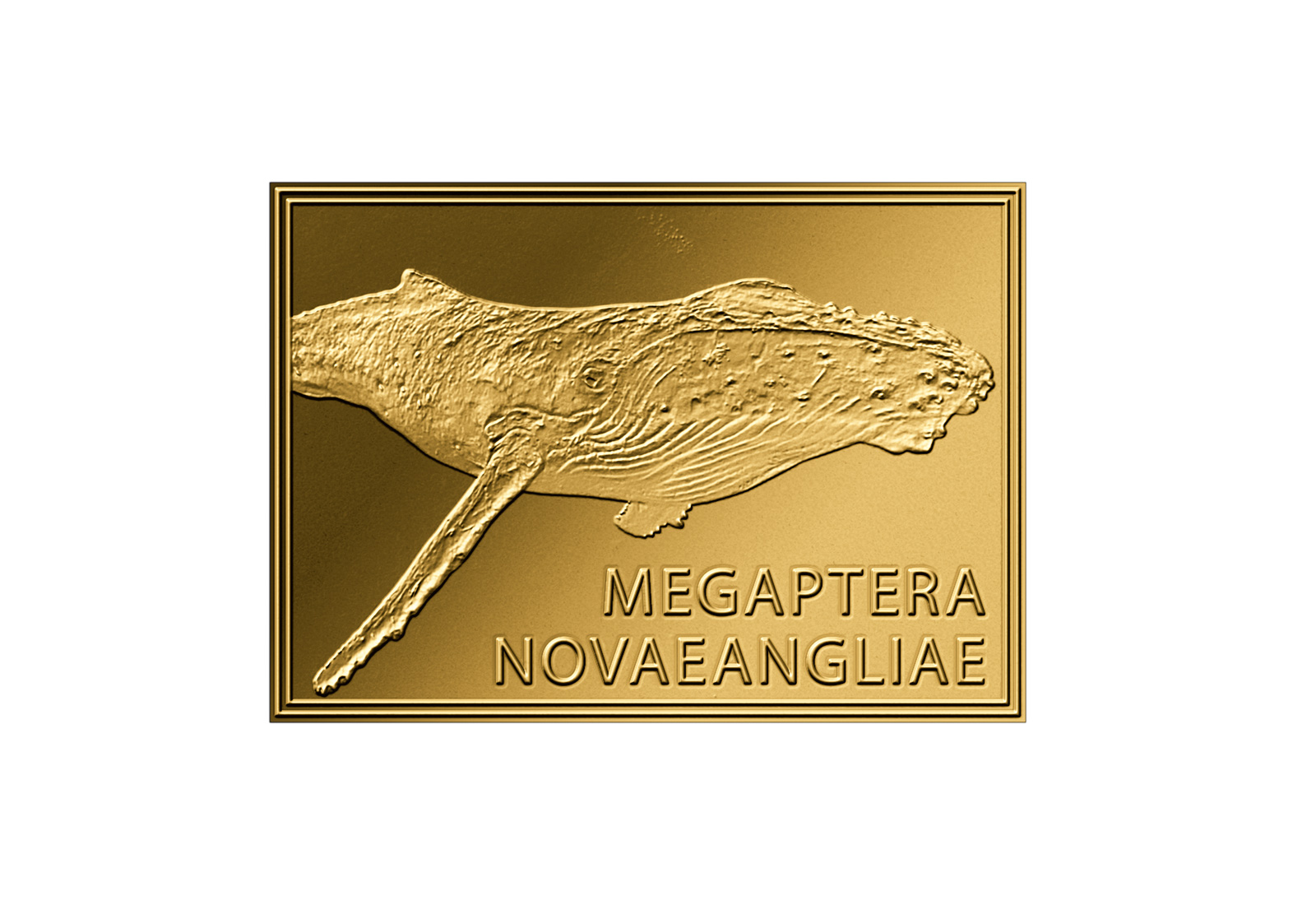 Goldmünze Motiv Buckelwal 999/1000 Gold Geschenk