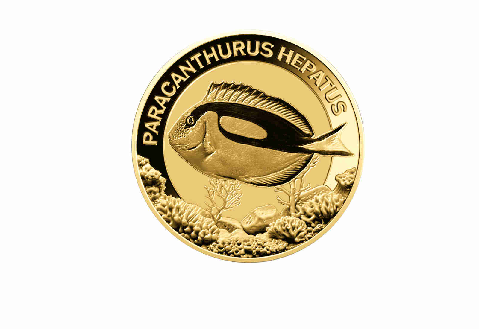 Goldmünze Motiv "Doktorfisch" Coincard 999/1000 Gold Geschenk