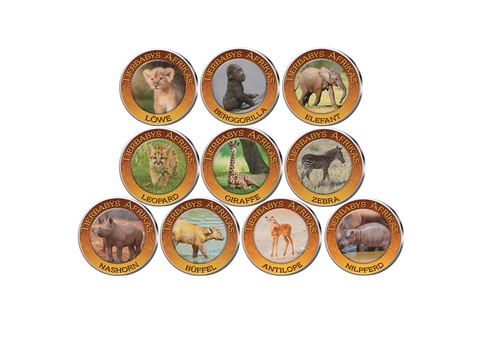 Tierbabys Afrika 10er Kollektion mit Farbmotiv im Etui inkl. Zertifikat