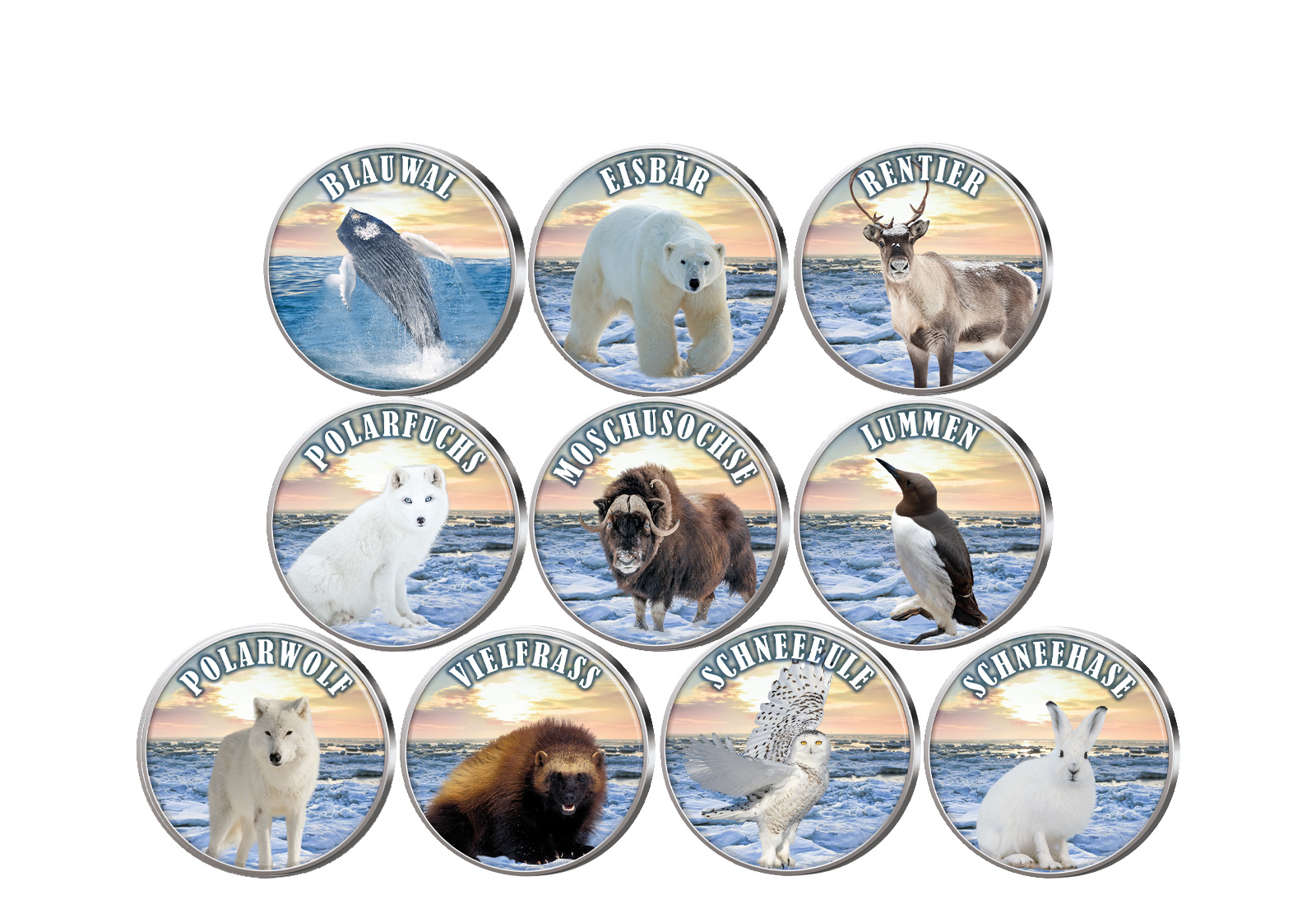 Die raue Welt des Nordpols 10er Kollektion mit Farbmotiv im Etui inkl. Zertifikat