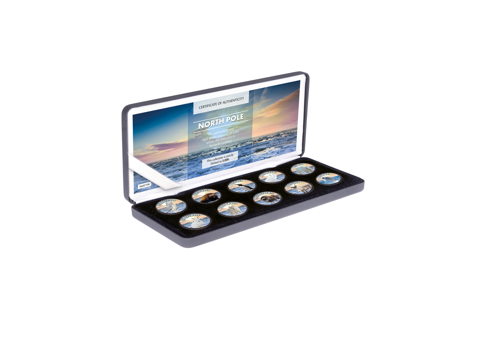 Die raue Welt des Nordpols 10er Kollektion mit Farbmotiv im Etui inkl. Zertifikat