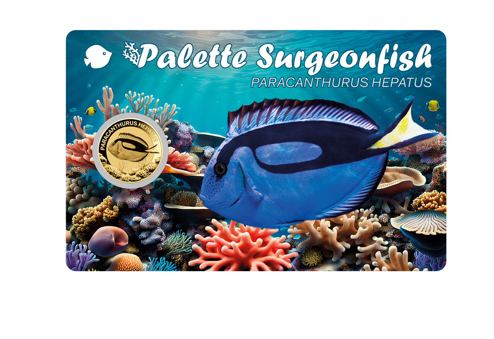 Goldmünze Motiv "Doktorfisch" Coincard 999/1000 Gold Geschenk