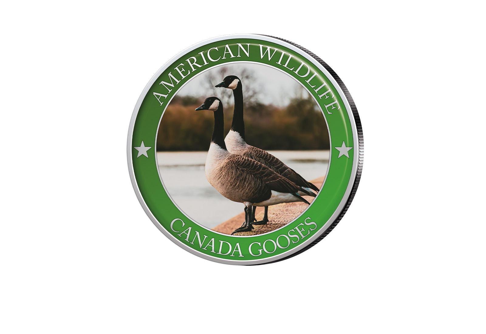 1/2 Dollar USA Canada Goose Serie American Wildlife mit Farbapplikation