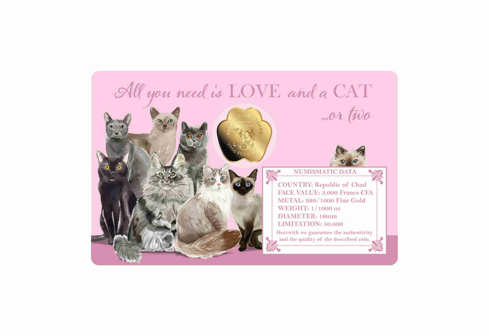 Coincard Katze mit Goldmünze