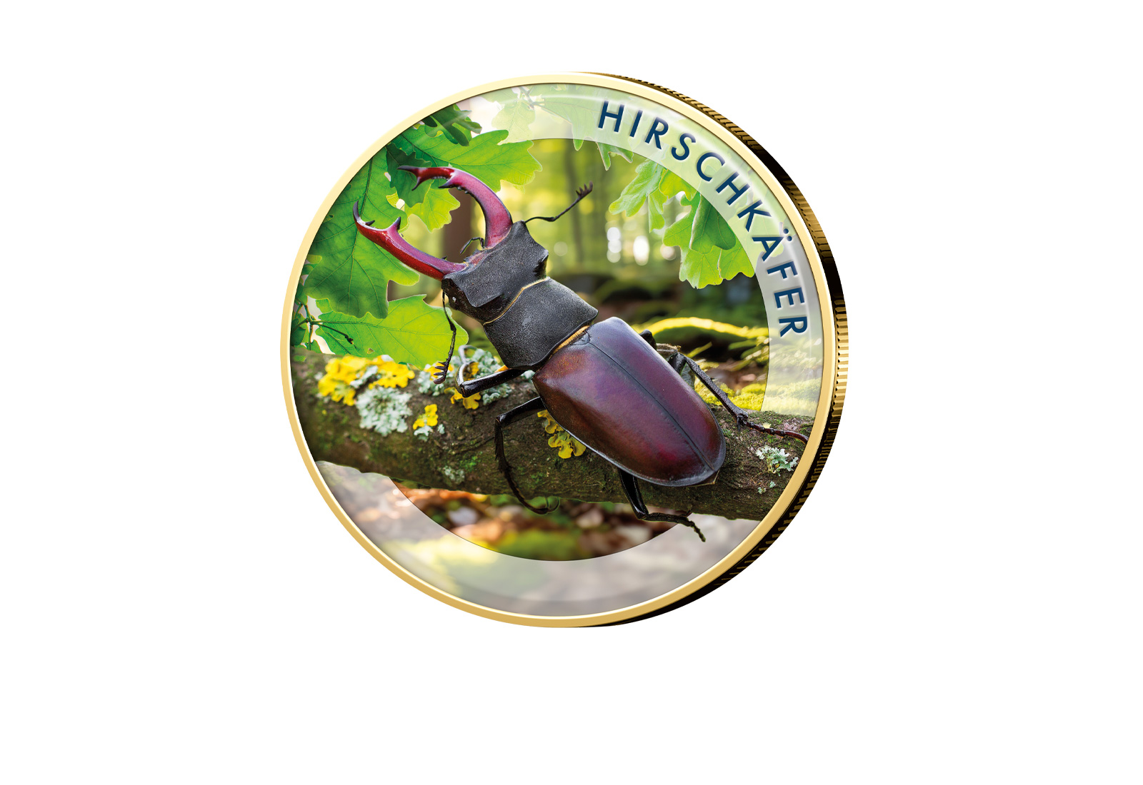 2 Euro Hirschkäfer vergoldet mit Farbmotiv