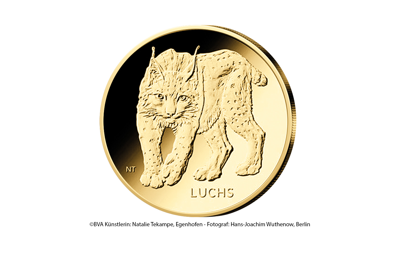 20 Euro 2025 Goldmünze Deutschland Luchs Prägestätte G (Karlsruhe)