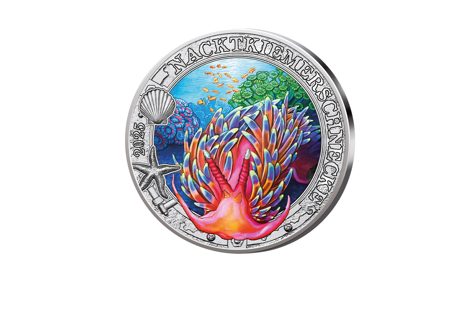 3 Euro 2025 Österreich Nacktkiemerschnecke