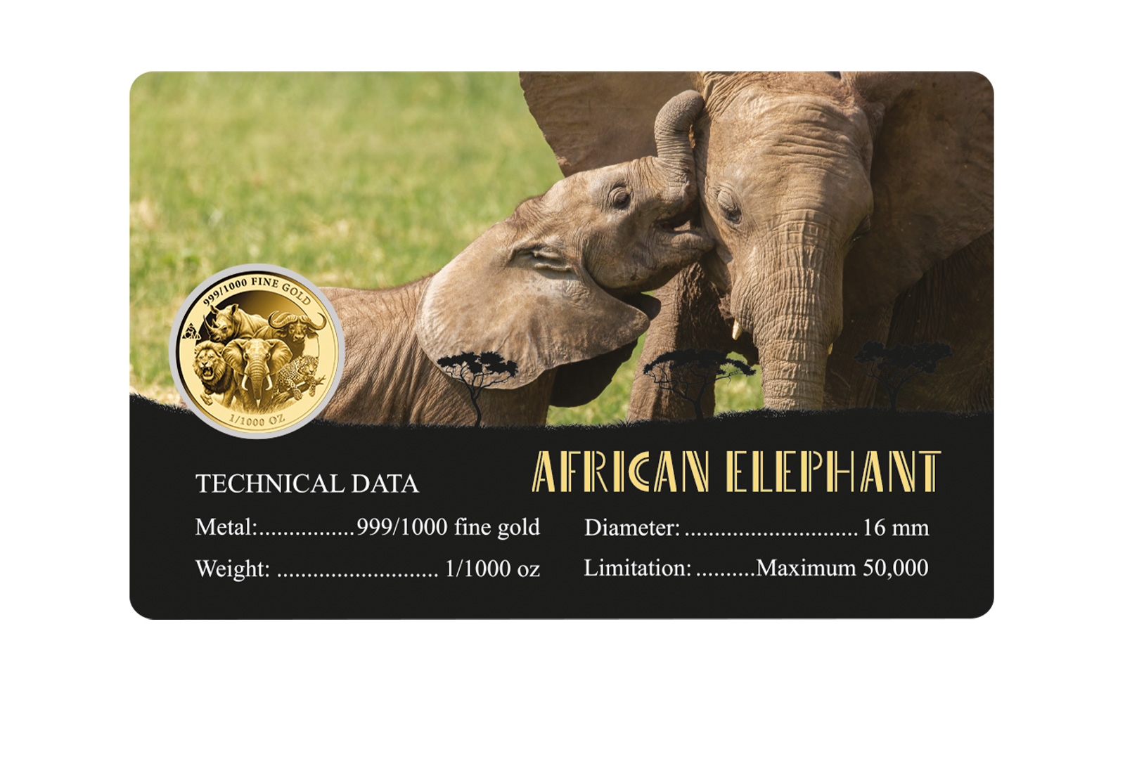 Goldcard Motiv African Elephant mit 999/1000 Goldausgabe