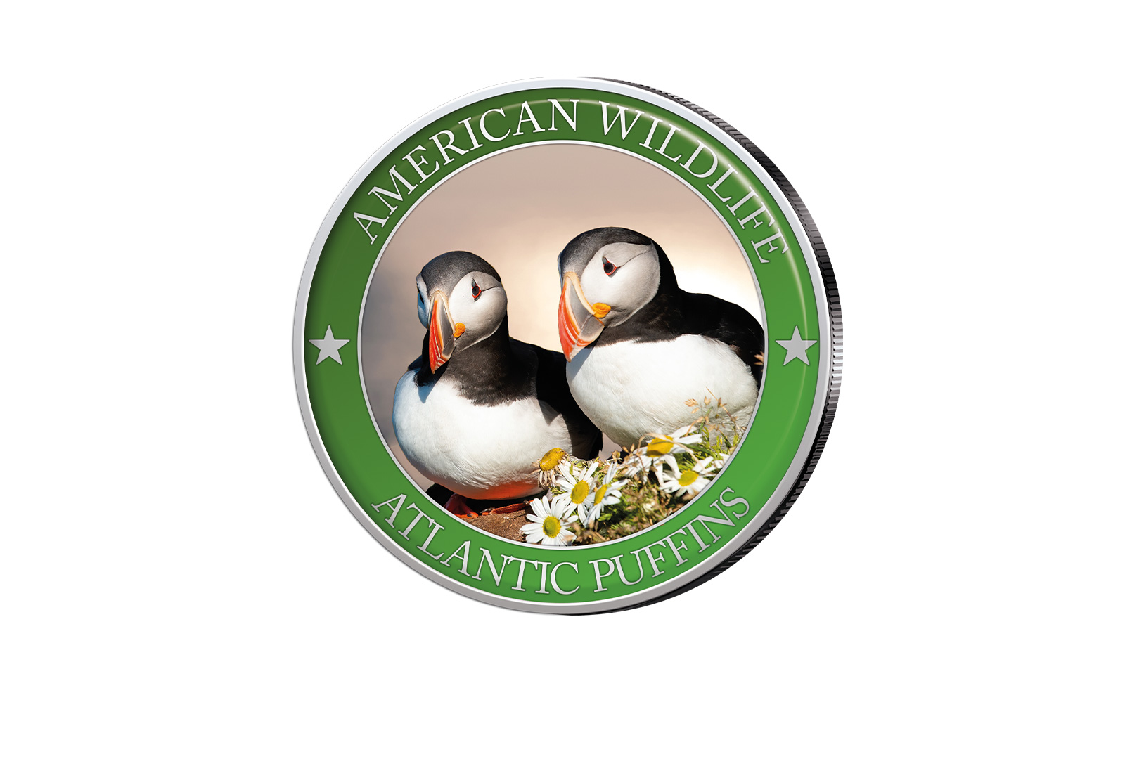 1/2 Dollar USA Atlantic Puffin Serie American Wildlife mit Farbapplikation
